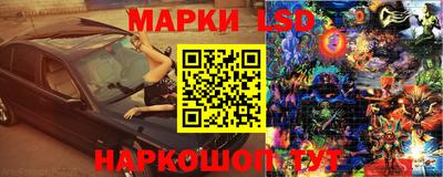 стафф Бугуруслан