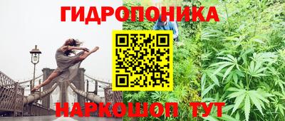 прущая мука Будённовск