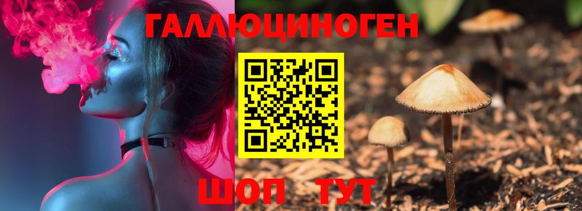 Псилоцибиновые грибы ЛСД Рославль